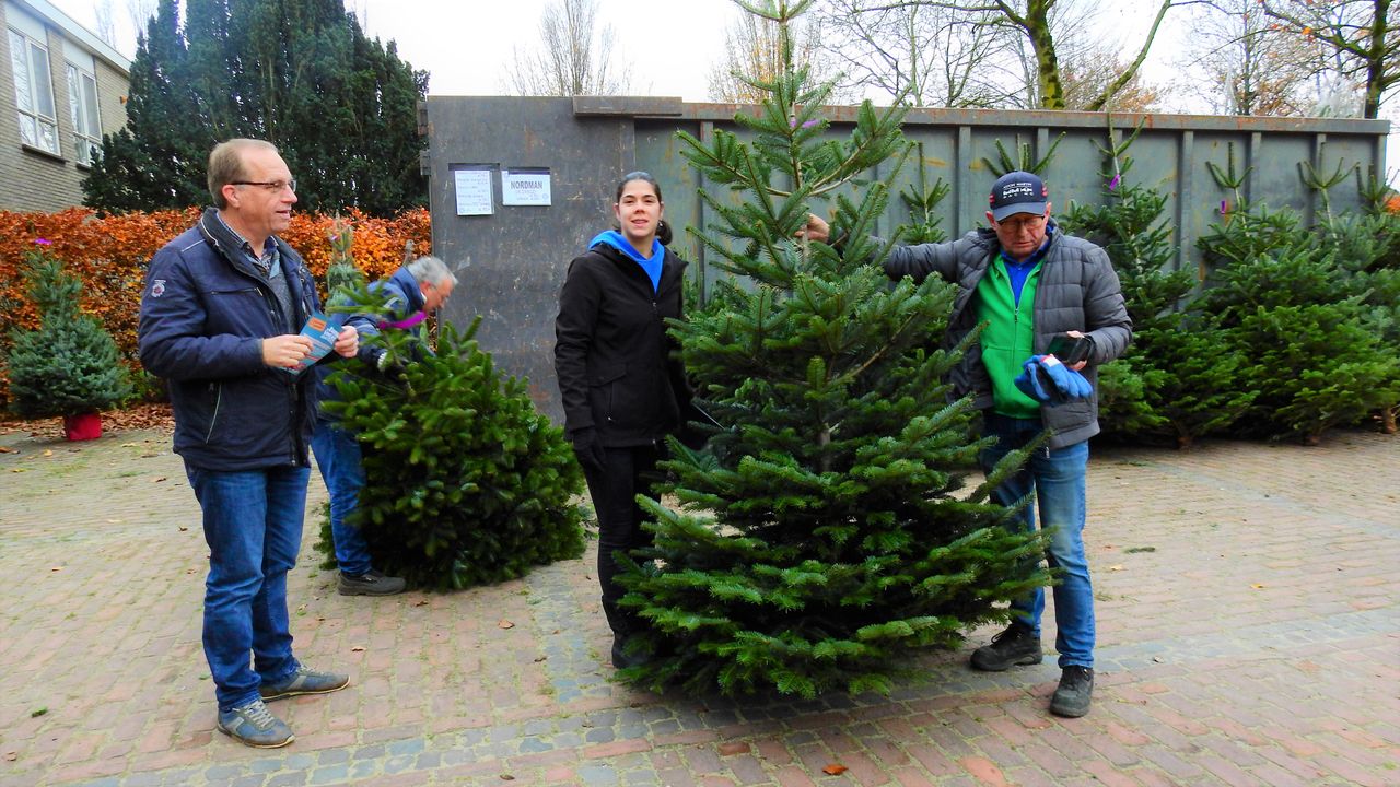 Kerstbomenverkoop Jong Nederland Someren-Heide