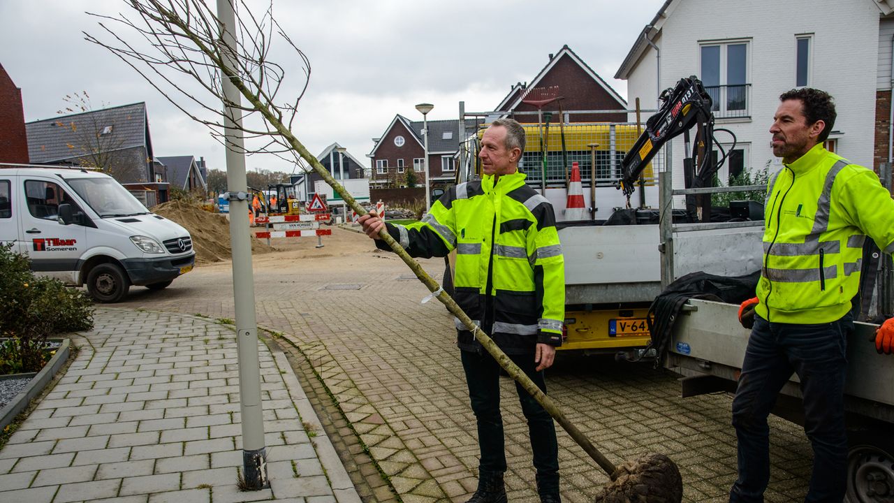 Gratis boom voor bewoners Gildenwijk in Lierop